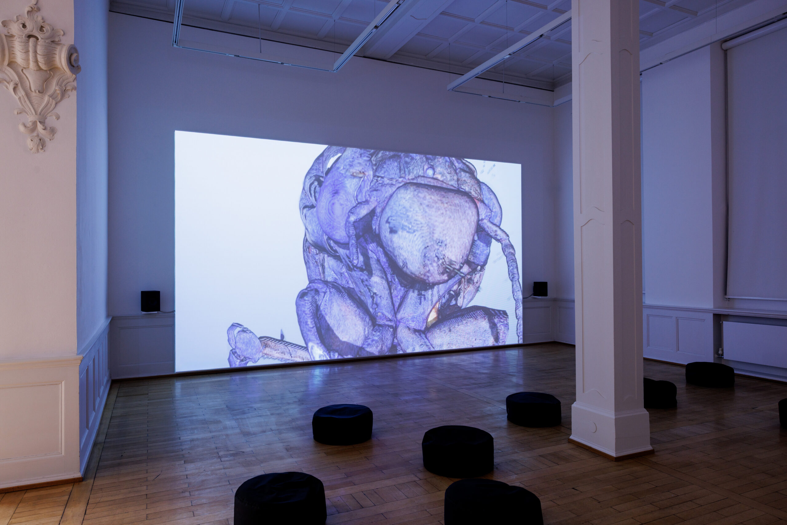 Installation view: delirious mantra, Anna Barham, Badischer Kunstverein, Karslruhe (Sick Ardour)